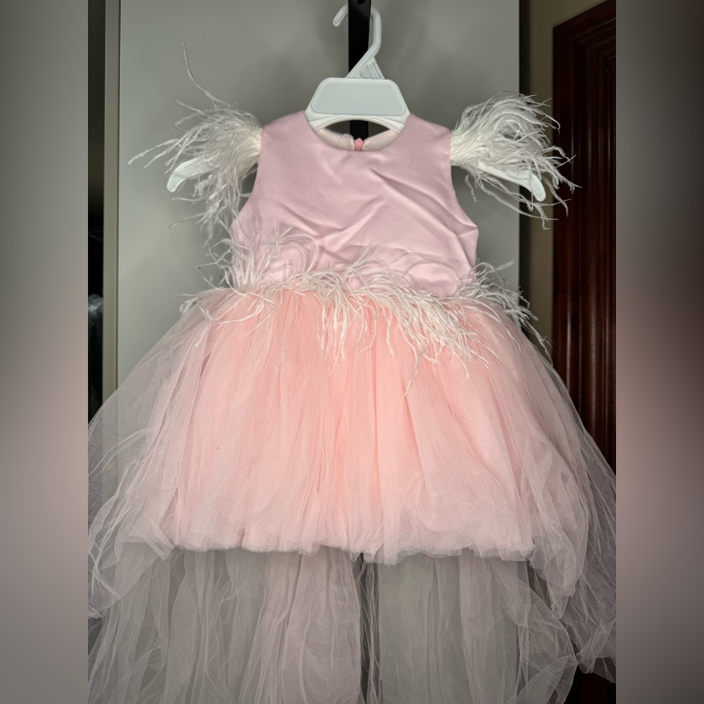 Pink Handmade Dress with feather accents - Picture 1 of 4